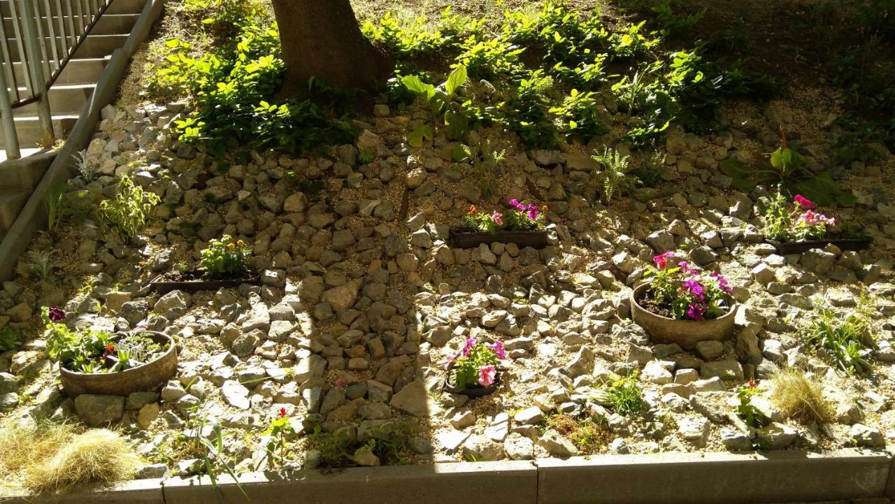 Gesztenyes Apartman มิชโคลซ์ ภายนอก รูปภาพ