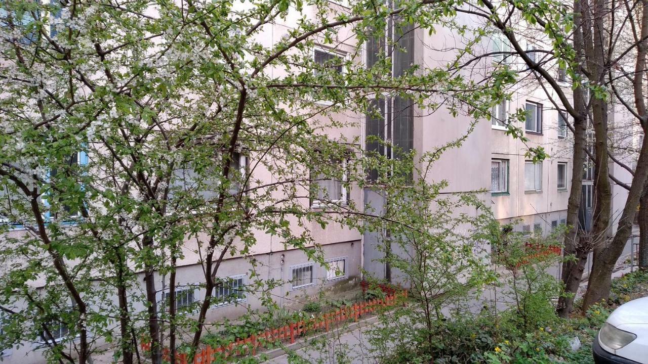 Gesztenyes Apartman มิชโคลซ์ ภายนอก รูปภาพ